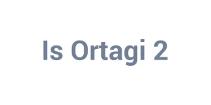 İş Ortağı 2